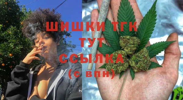 МДПВ Богородск
