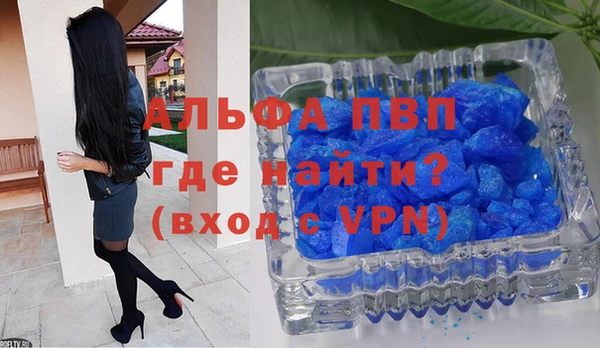 spice Беломорск