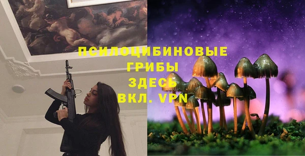 МДПВ Богородск
