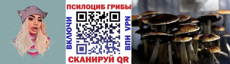наркошоп  Белорецк  Галлюциногенные грибы GOLDEN TEACHER 